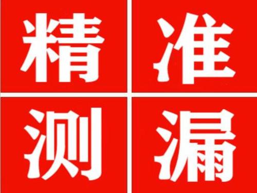 卢龙尚嘉漏水精准查找